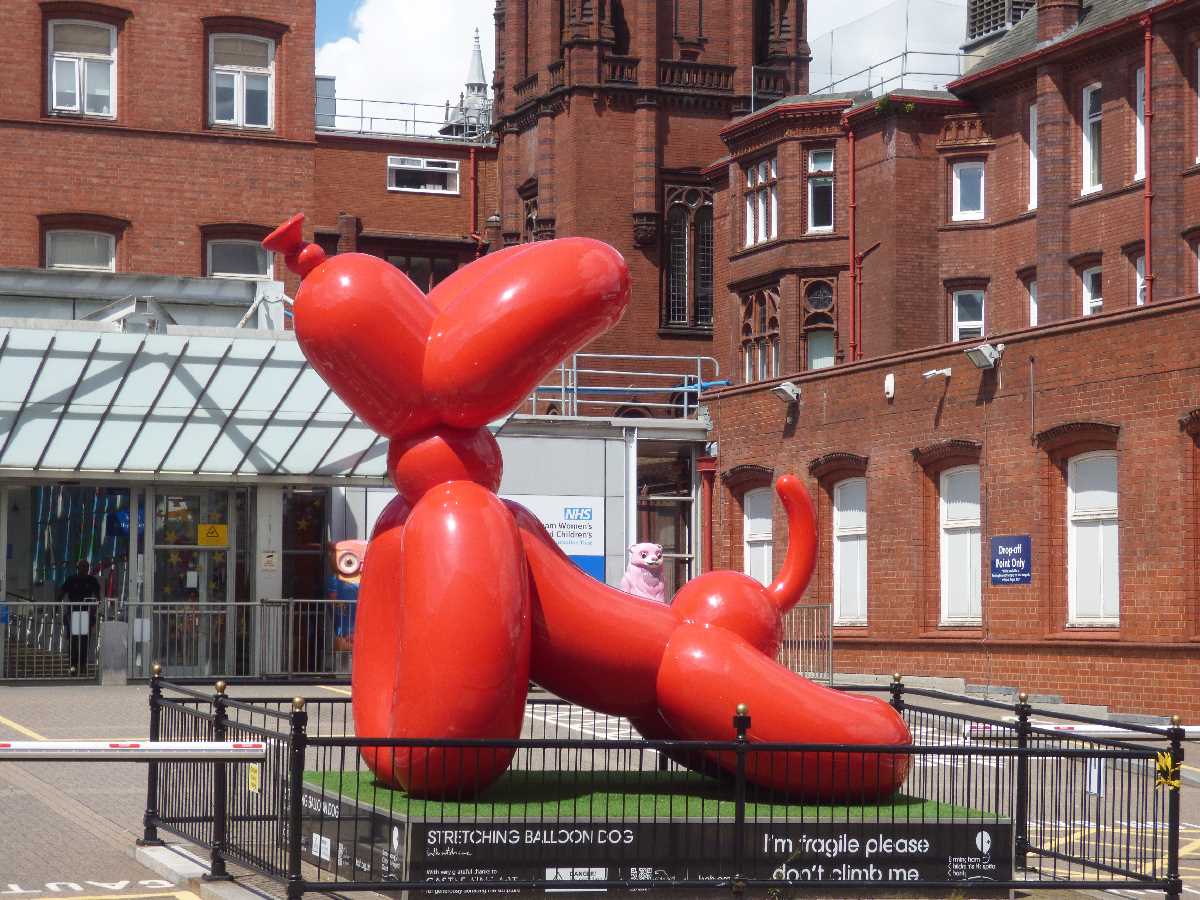 Stretching+Balloon+Dog+at+Birmingham+Children%60s+Hospital