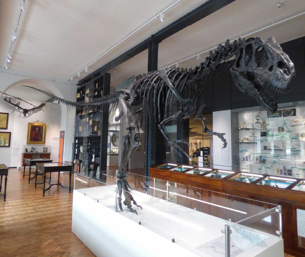 The Lapworth Museum of Geology at the University of Birmingham