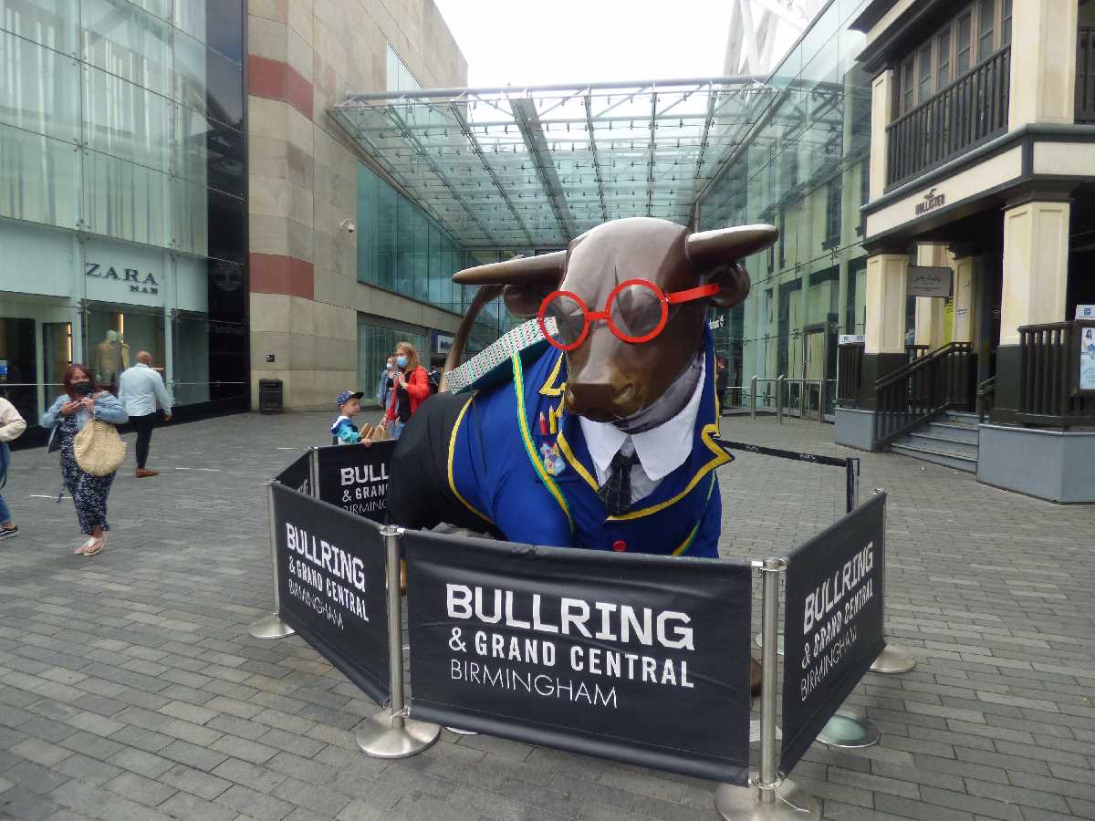 Bullring Bull Back to School 2020